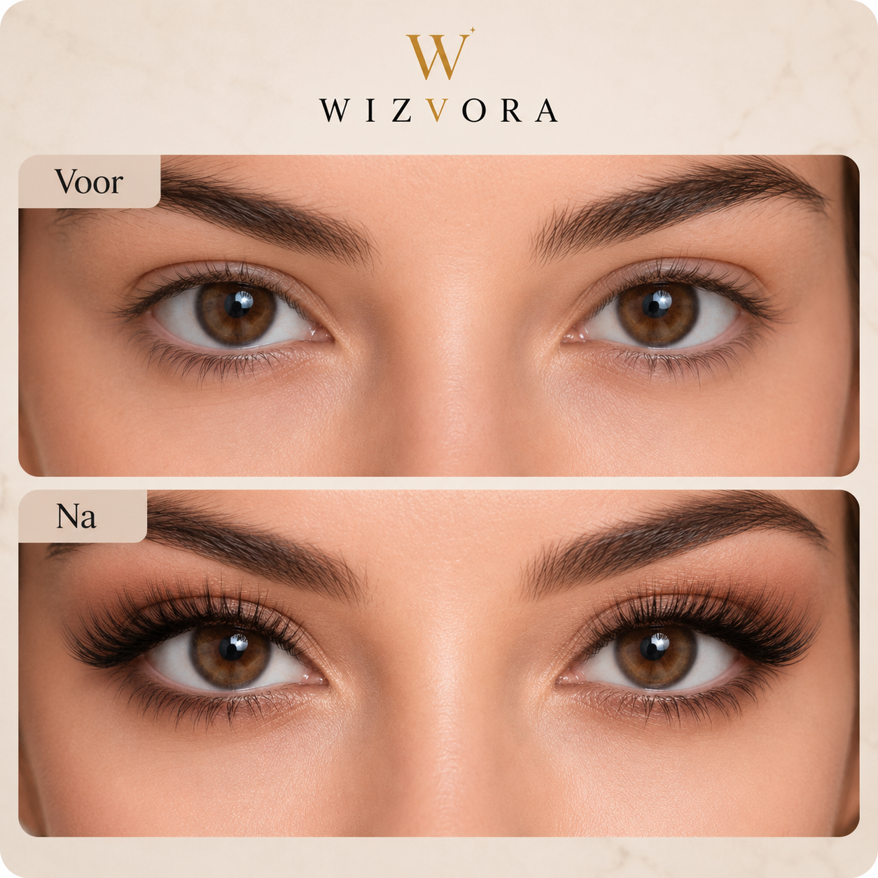 HiveGlow - Magnetische wimperset