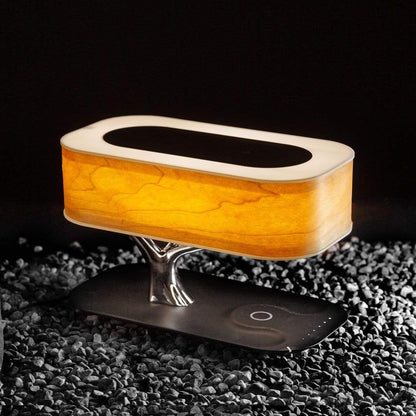 Lamp van het Levenslicht | Met draadloos gsm oplaadstation